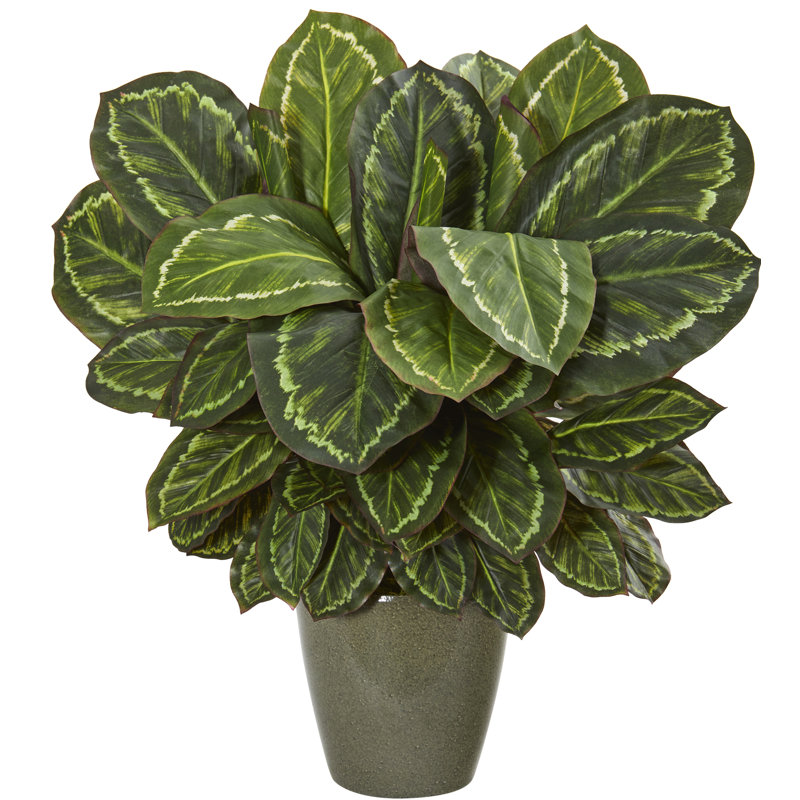 Gracie Oaks Artificial Foliage Plant in Planter Wayfair